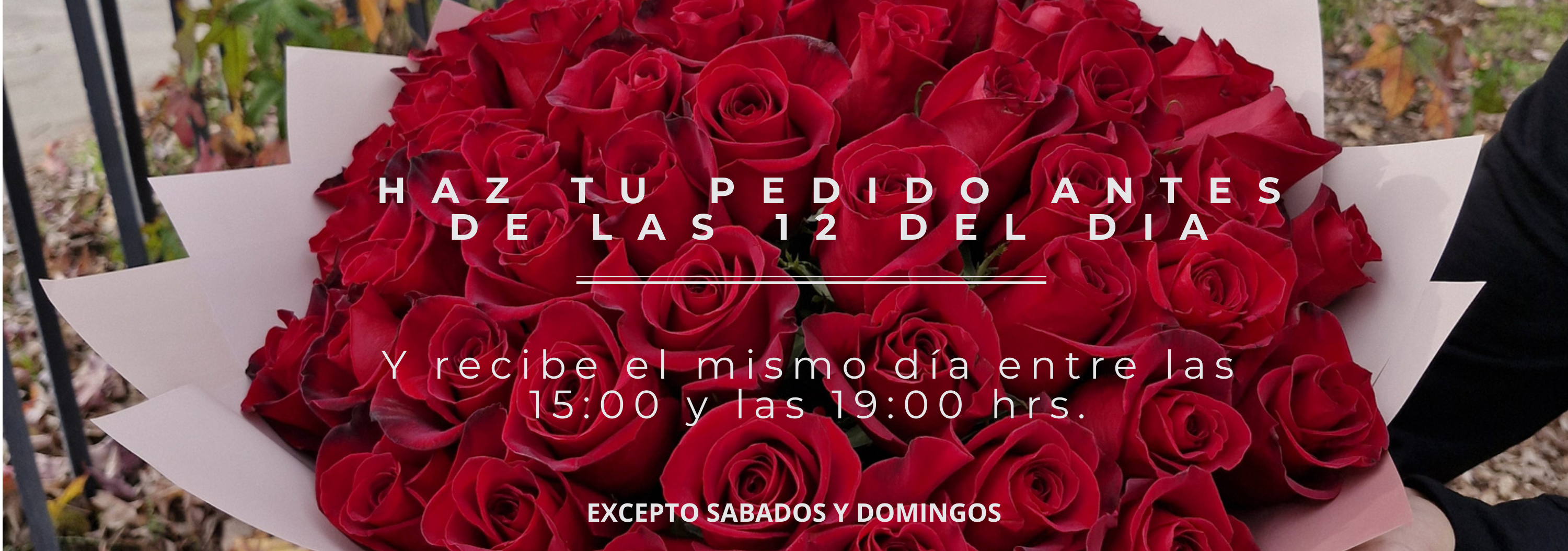 Y RECIBE EL MISMO DIA 